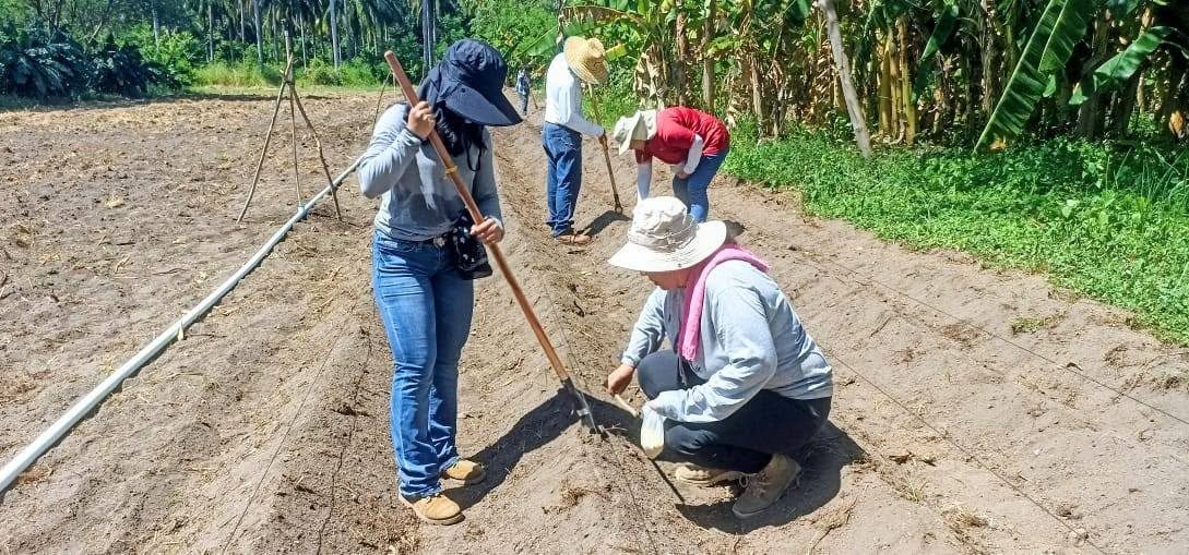 Investigación aplicada de CIETTA